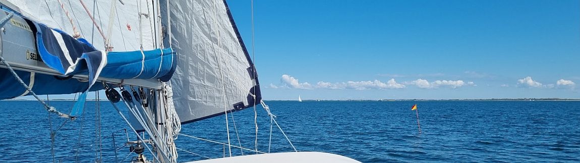 20260507_120119.jpg