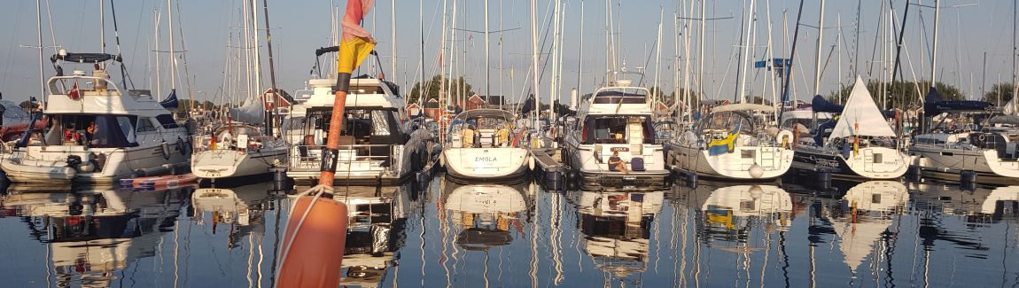20260714_200242.jpg